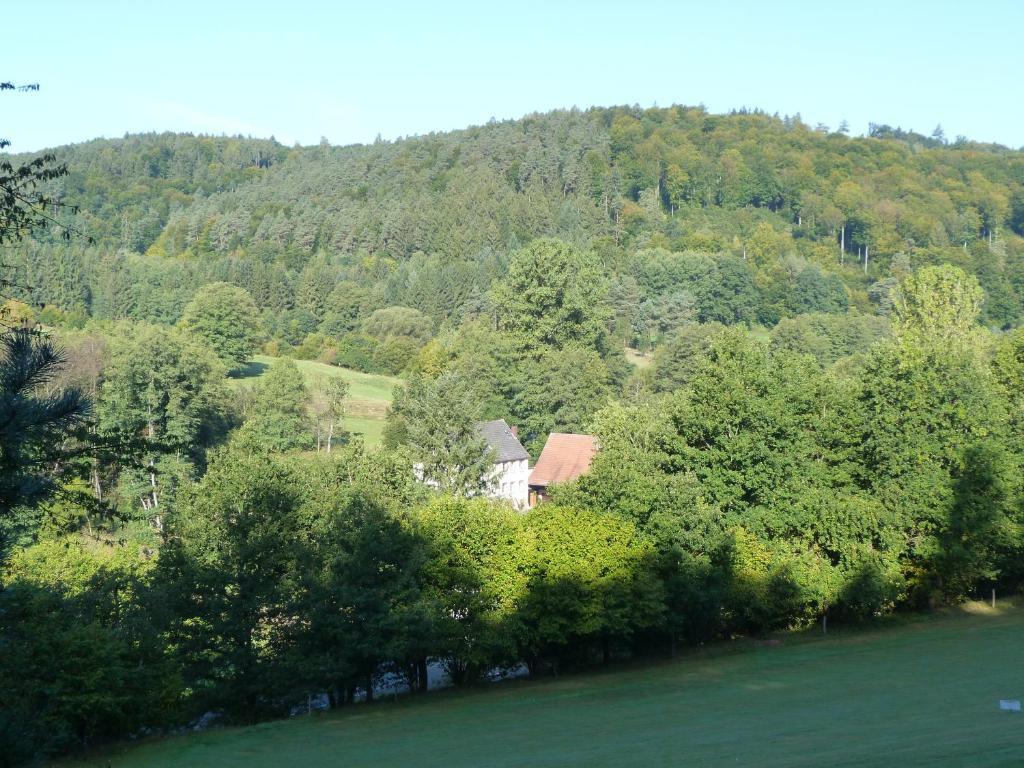 Landgasthof Geiersmuehle Vielbrunn Exterior foto